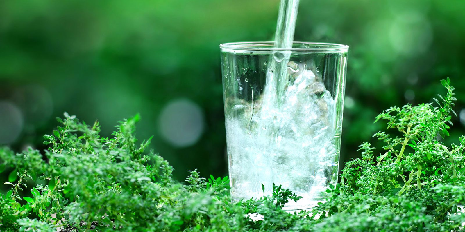 The Benefits and Potential Dangers Of Drinking Water